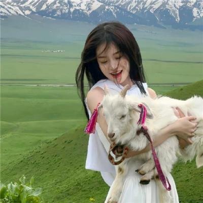 白鸟：奇迹